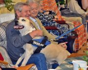 Szeretetnap - kutyák és idősek találkozása