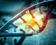 Az MTA állásfoglalása a precíziós gén- és genomszerkesztésről