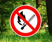 Általános tűzgyújtási tilalom a megye erdeiben és azok határán