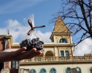 Tizennyolc kiállító a hatodik Pécsi Csokoládé Karneválon