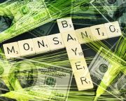 Az EU engedélyezte a Bayer számára a Monsanto felvásárlását