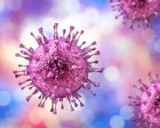 Az immunrendszert erősítő vírust azonosítottak amerikai kutatók