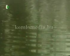 A víz világnapja