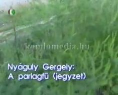 A parlagfű (jegyzet)