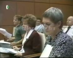 Rendkívüli testületi ülés - a sikondai beruházás (Hoffmann György)