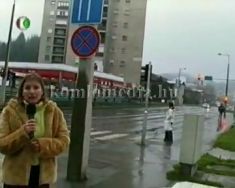 Új közlekedési rend(ellenesség)...